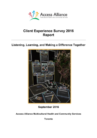 Client Experience Survey Report