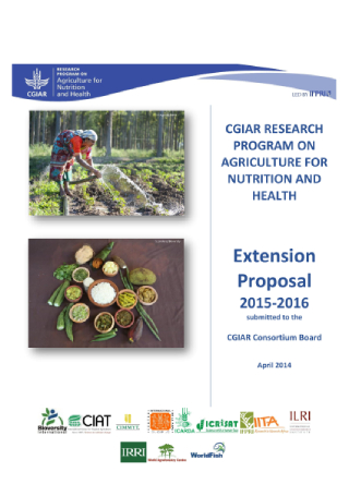 Research Program Extension Proposal