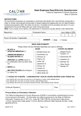 State Employee Ethnicity Questionnaire
