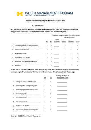 Work Performance Questionnaire