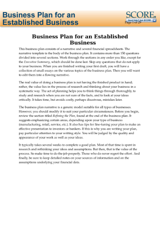 Business Plan for an Established Business