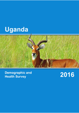 Demographic and Health Survey