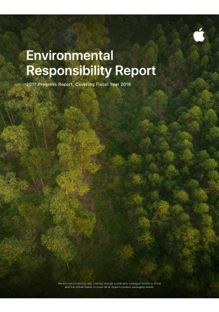 Environmental Responsibility Report