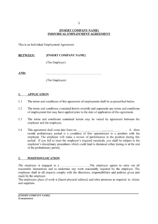Individual Employment Contract