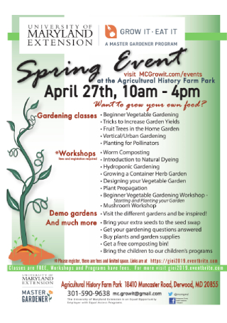University Spring Event Flyer