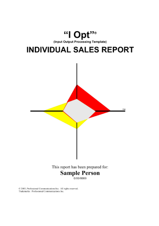 Individual Sales Report