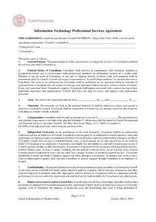 Information Technology Professional Services Agreement