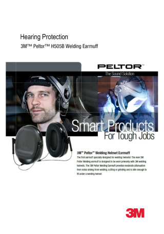Product Sales Flyer