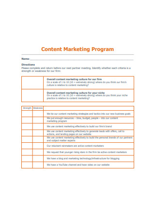 Content Marketing Program Sample