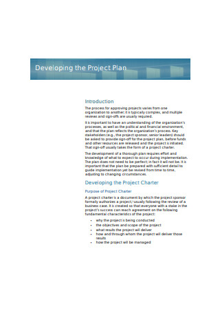 Developing Project Plan Sample