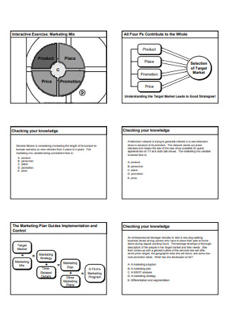 Marketing Strategy Plan in PDF