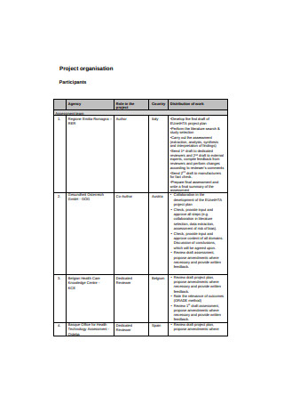 Project organisation Plan Sample