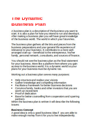 The Dynamic Business Plan