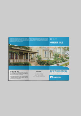Trifold Real Estate Brochure