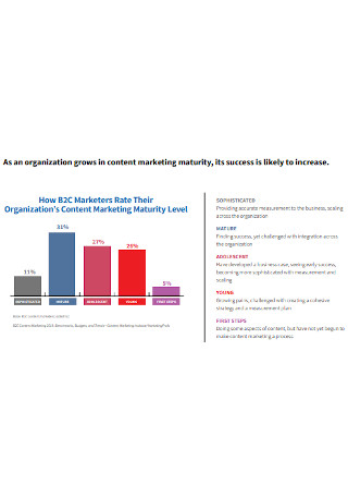 Content Marketing Maturity
