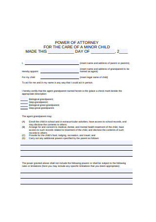 Formal Power of Attorney for the Care of a Minor Child