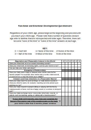 Functional and Emotional Developmental Questionnaire