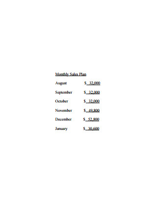 Monthly Sales Plan