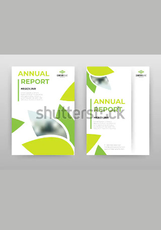 Multipurpose Business Annual Report Flyer