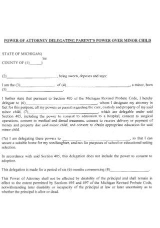 Power of Attorney Delegated Parents Over Minor Child