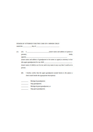 Power of Attorney Form for Minor Child Format