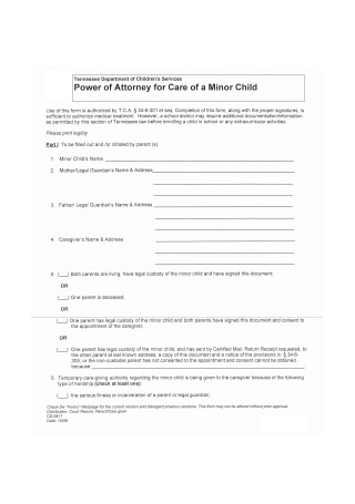 Power of Attorney for Care of a Minor Child Example