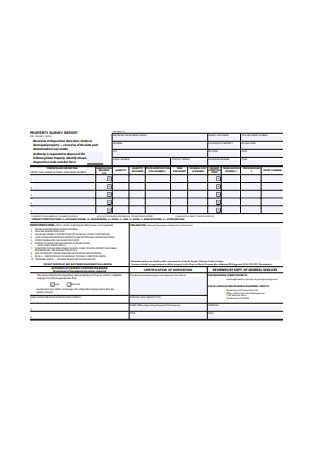Property Survey Report Form