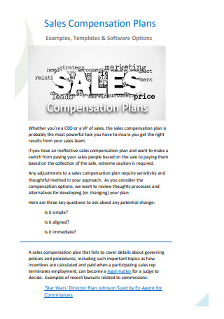 Sample Direct Sales Compensation Plan