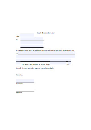 Sample Termination Letter Form