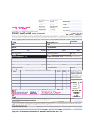 Bill of Lading Form Example