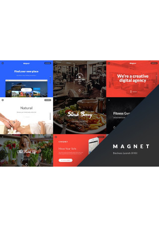 Business Launch Kit Landing Pages