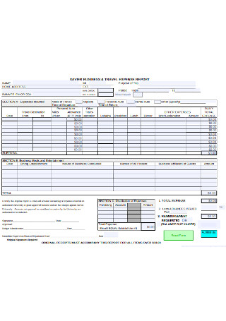Business and Travel Request Expense Report