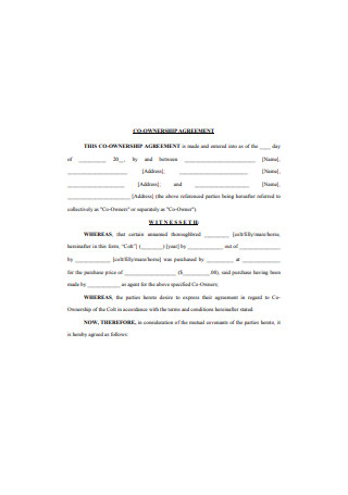 Property Co Ownership Agreement Template Free PRINTABLE TEMPLATES