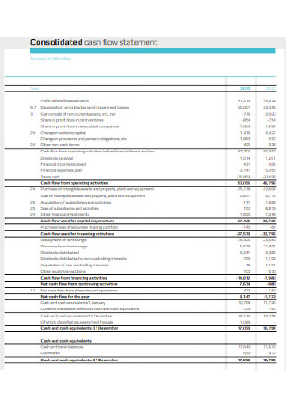 Consolidated cash flow statement