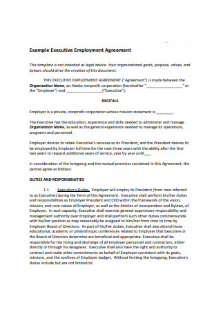 Executive Employment Agreement Example