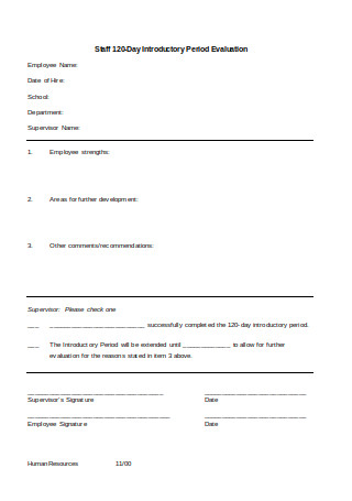 New Employee Introductory Period Evaluation Form