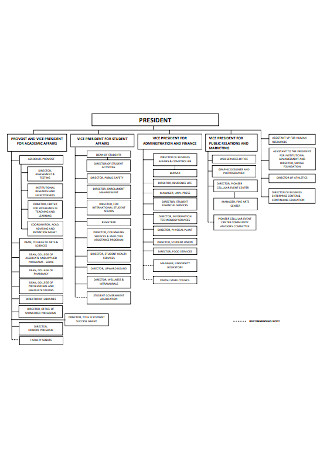 President Organizational Chart
