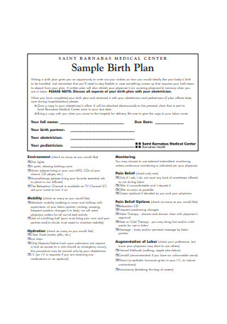 Sample Birth Plan Example