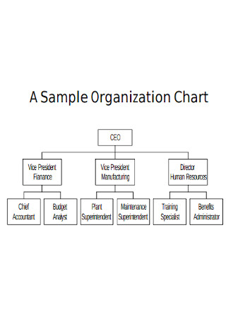 20+ SAMPLE Complex Organizational Charts in PDF | MS Word | Excel