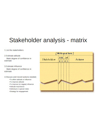Stakeholder Analysis Matrix