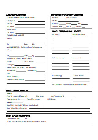 Standard Employment Information Form Example