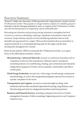Target Industry Analysis Report