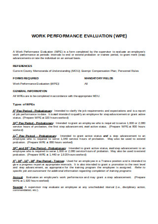 Work Performance Evaluation