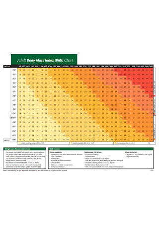 Adult Body Mass Index BMI Chart