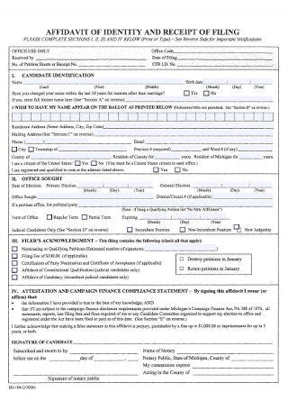 Affidavit of Identy and Receipt Filing Form