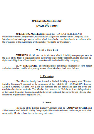 Basic Operating Agreement in DOC