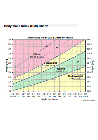 Body Mass Index BMI Chart