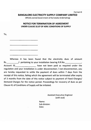 Company Termination Agreement