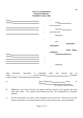 Divorce Settlement Agreement Sample