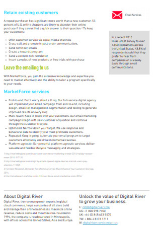 Ecommerce Email Marketing Strategy Sample